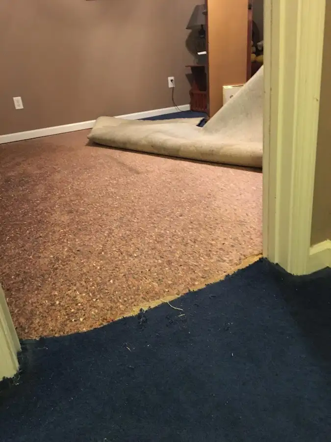 Carpet pad removal revealing water damage during Drying & Dehumidification in Central